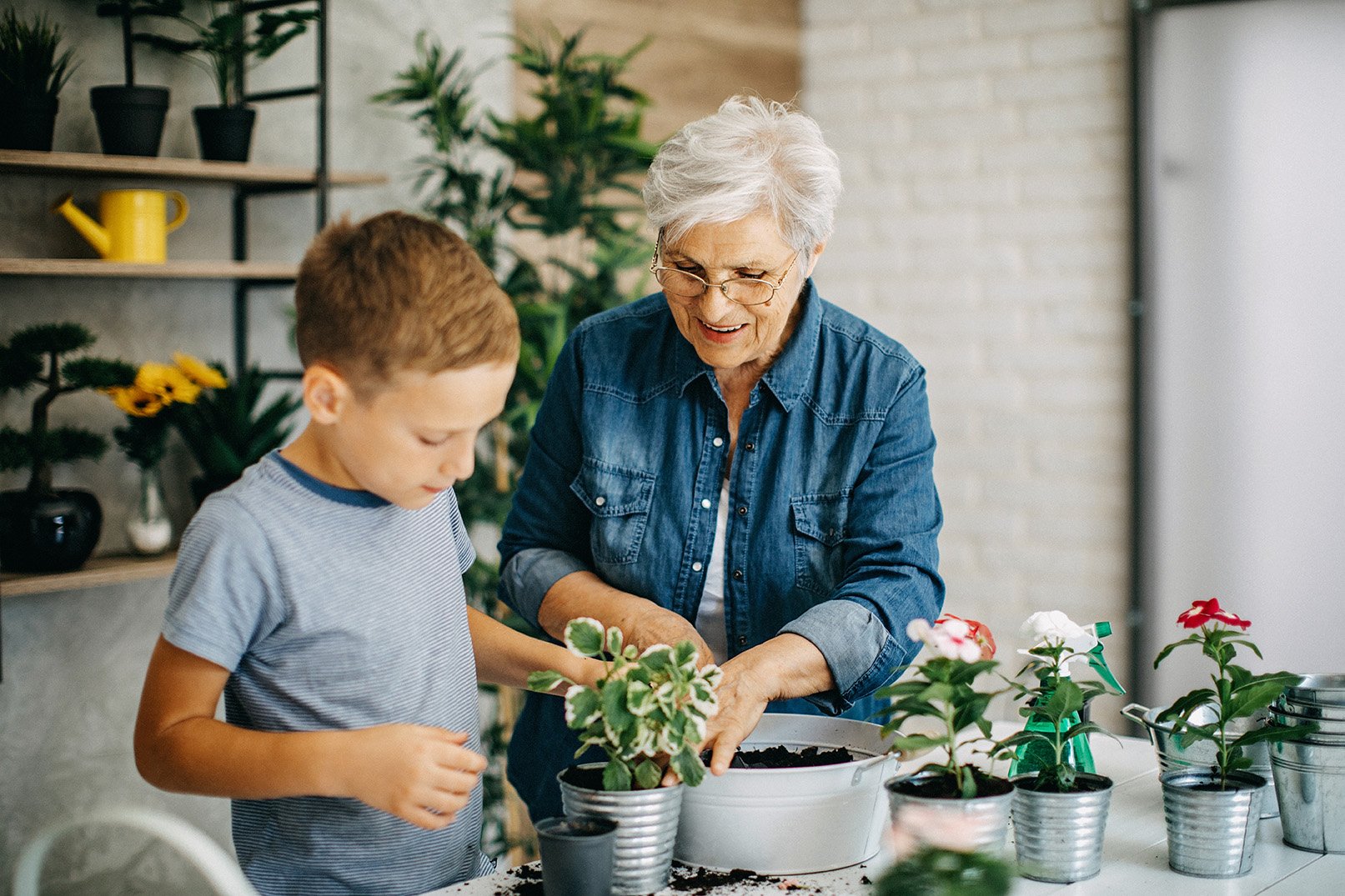 Cap-Lock_Opt3 young boy and white haired elderly woman potting a plant